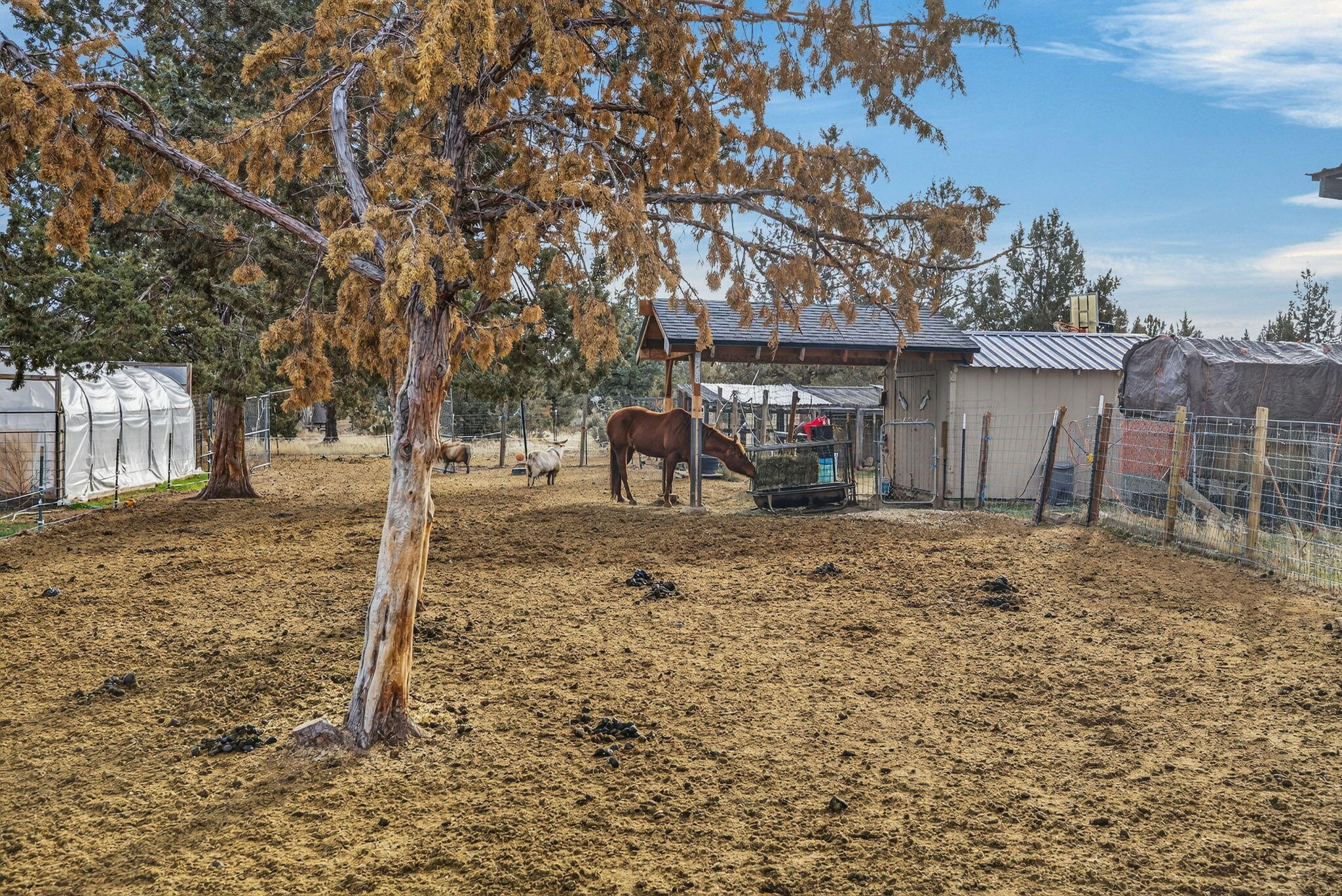 12916 SW Wheat Grass Road