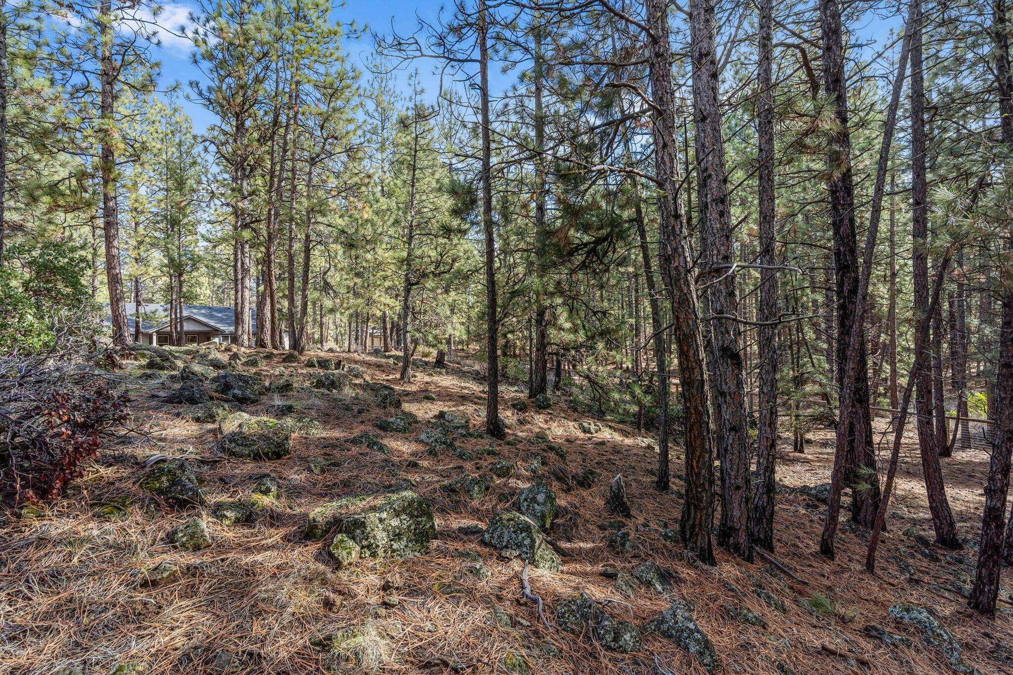 60055 Turquoise Road