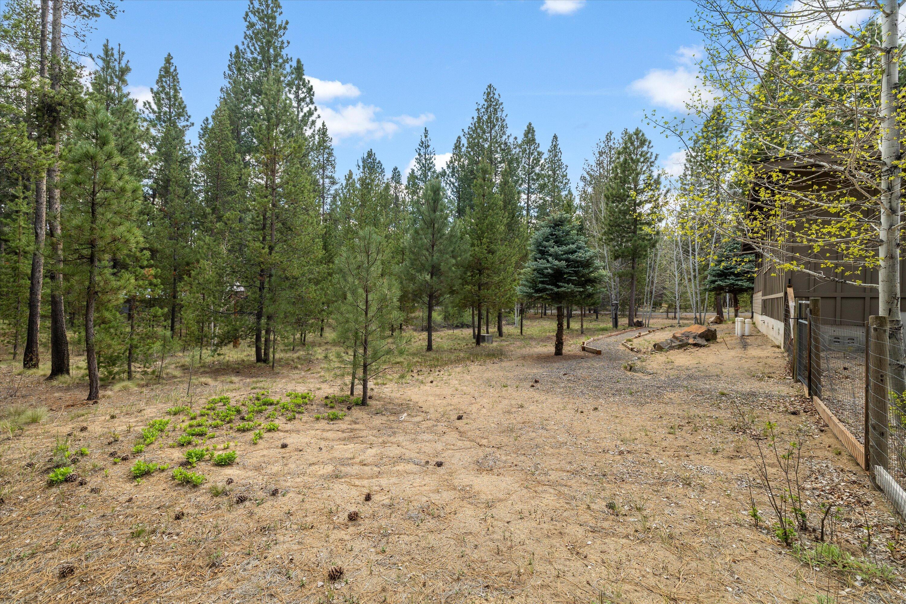 51601 Pine Loop Drive, na