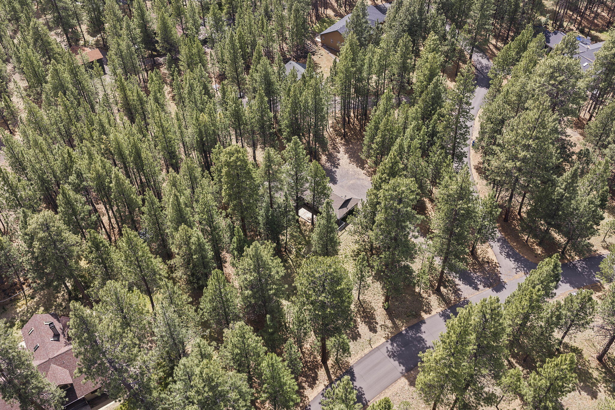 14485 Mountain View Loop
