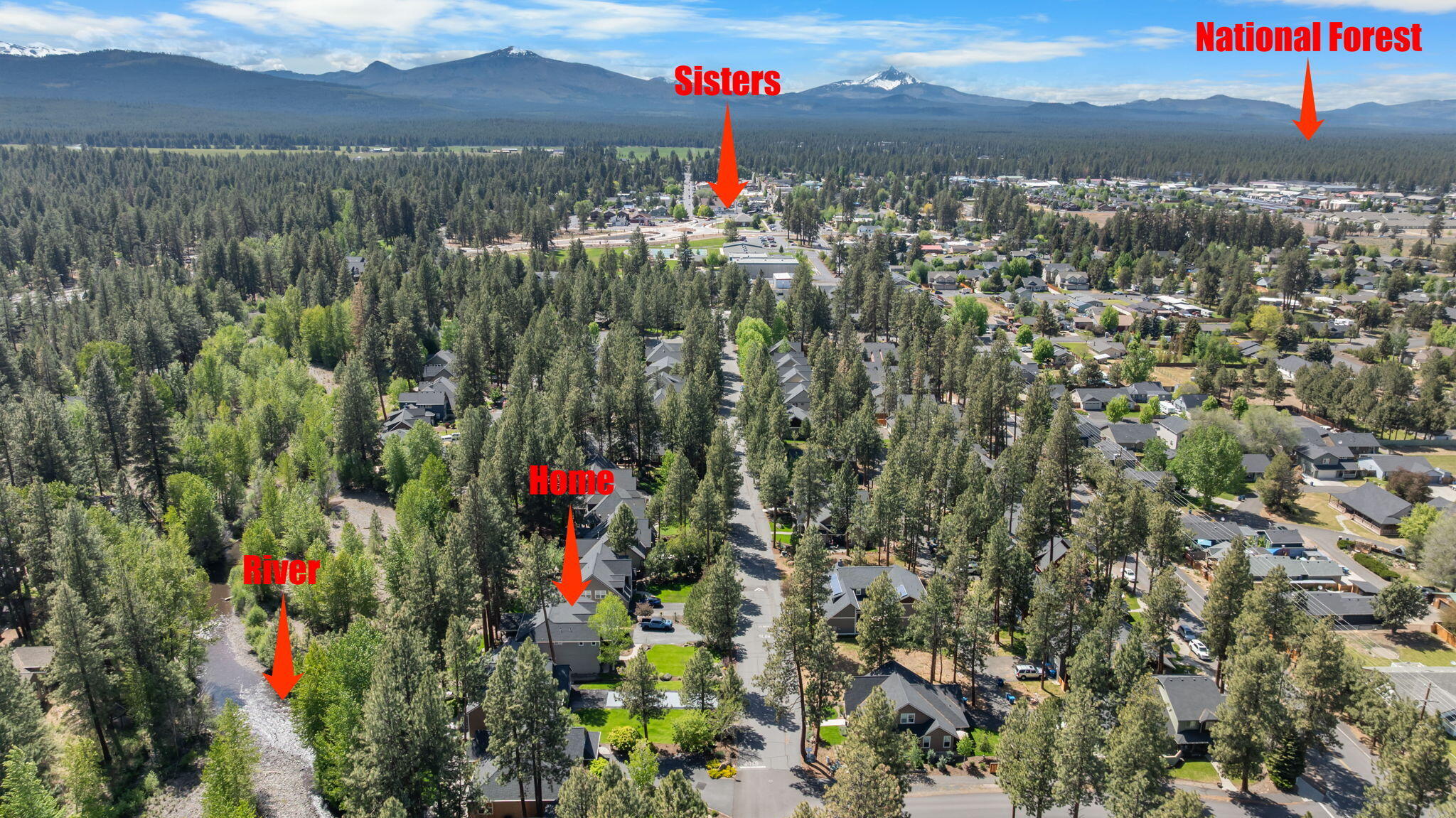 1041 E Timber Pine Drive
