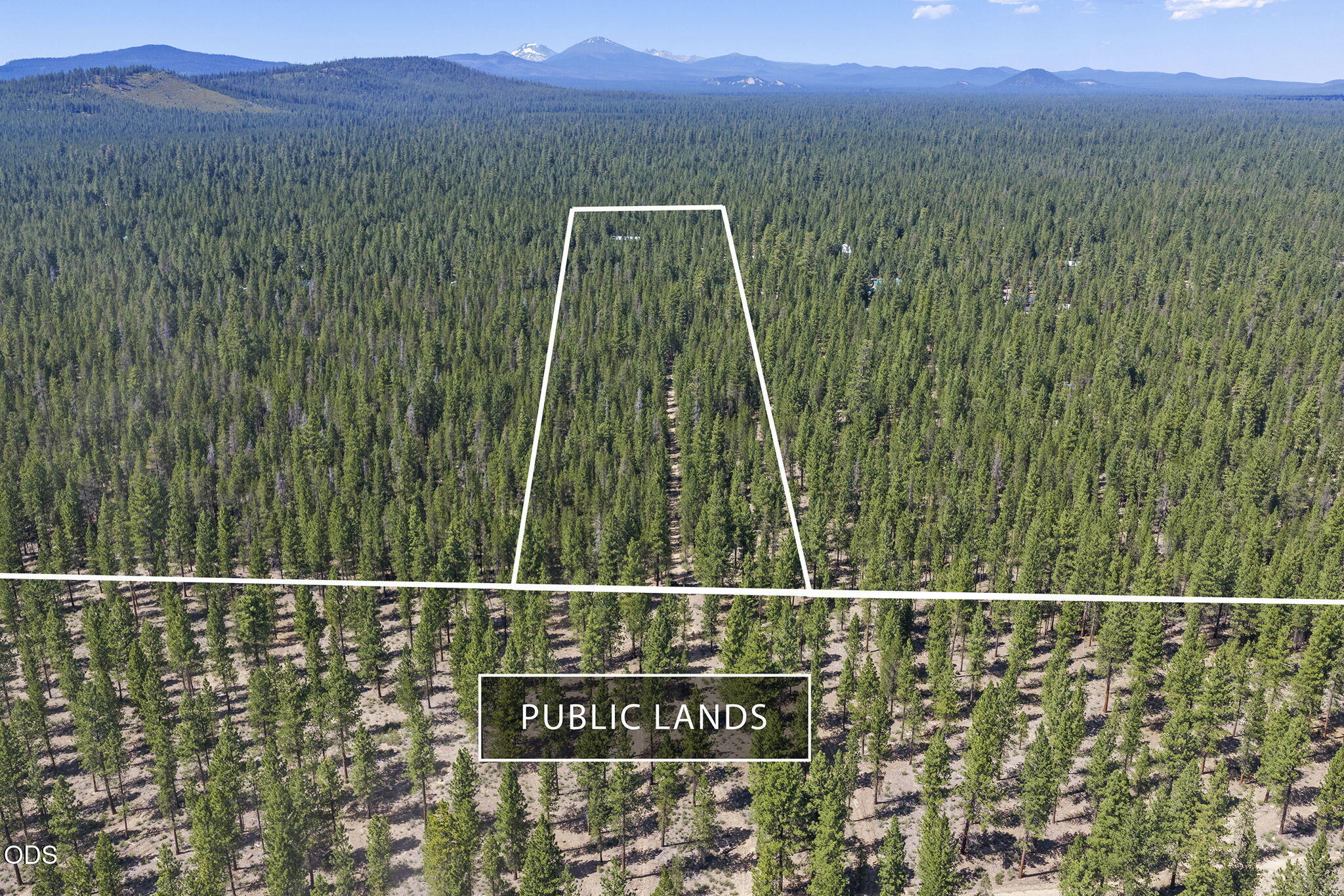 14973 Ponderosa Loop