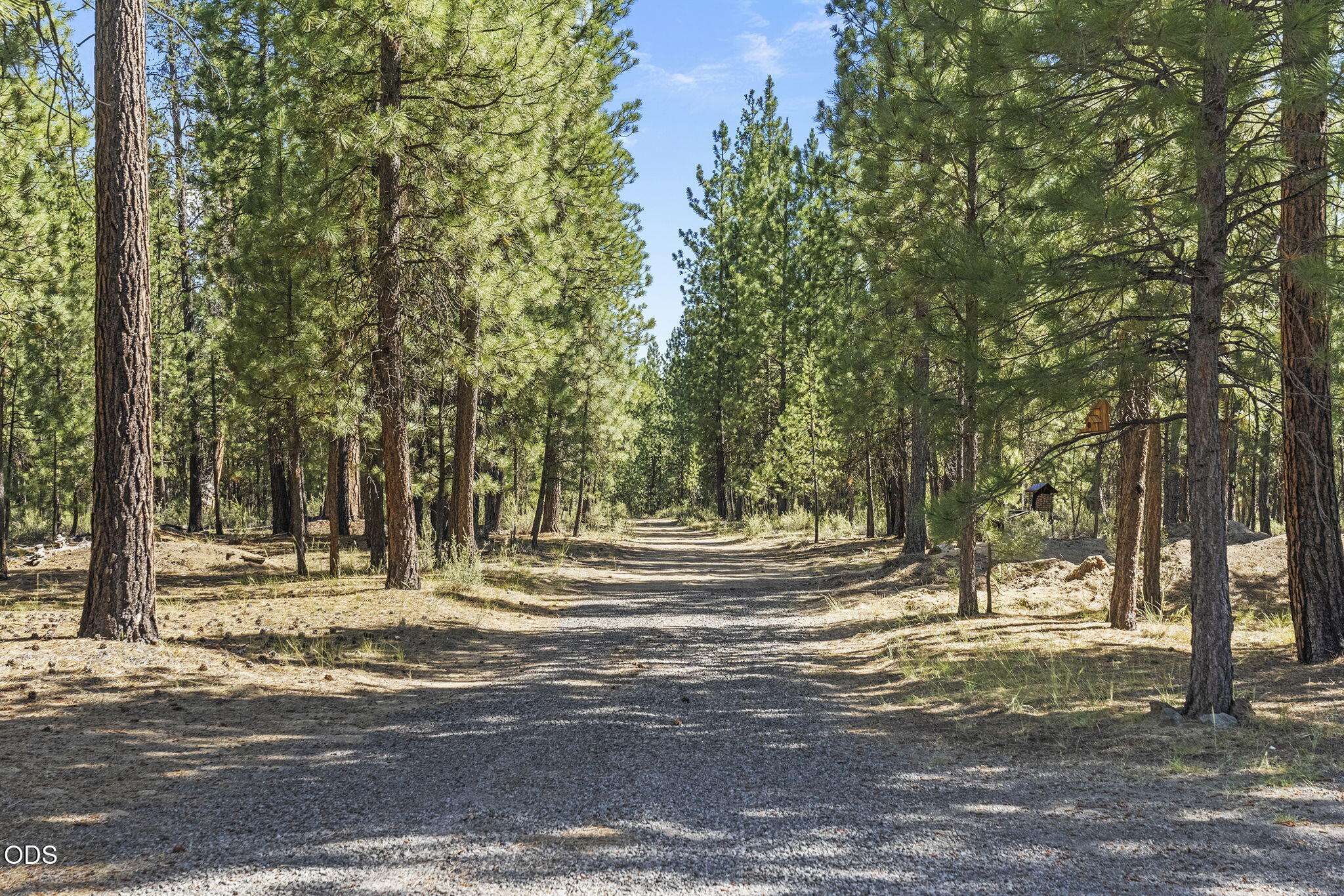14973 Ponderosa Loop
