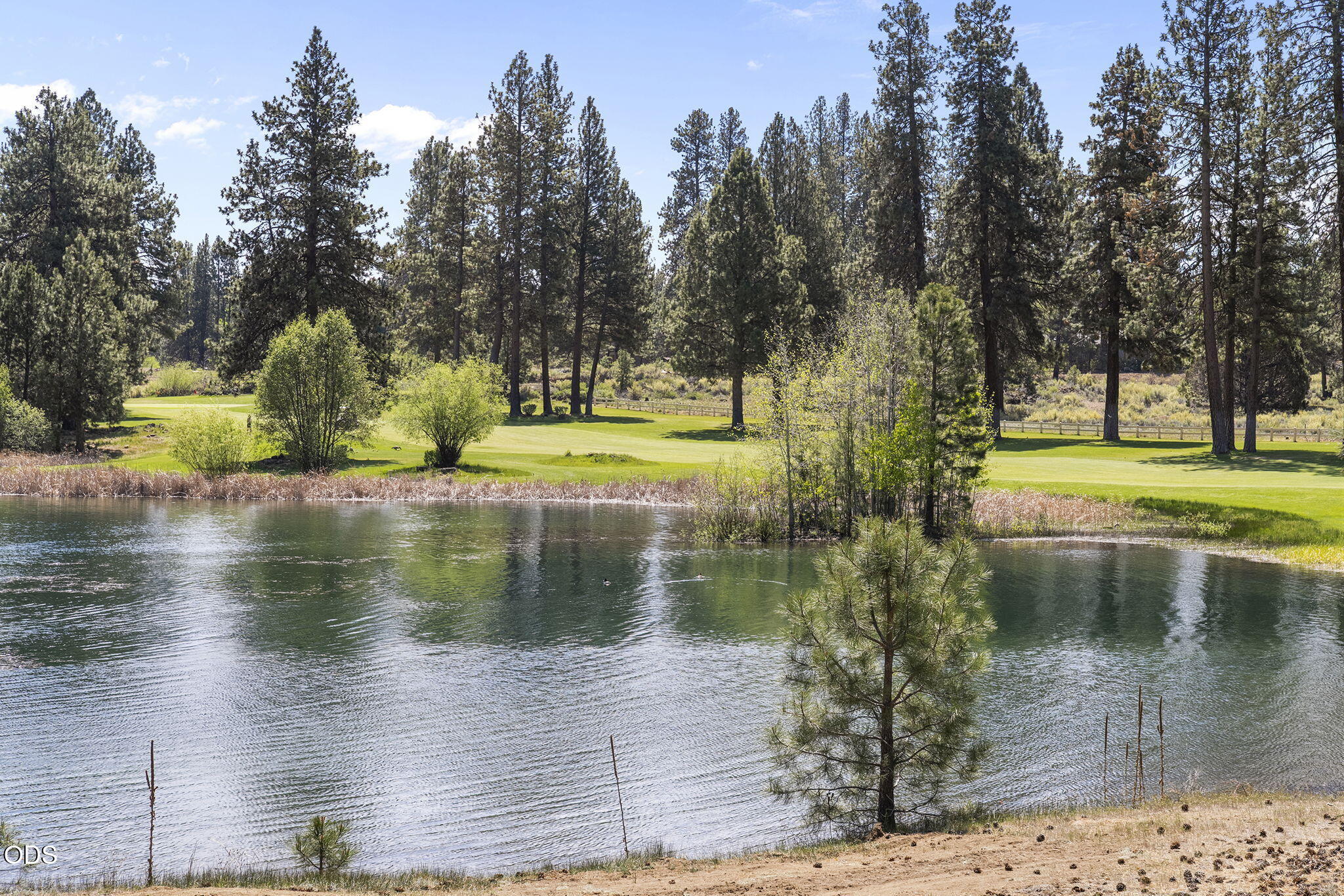 20398 Big Bear Court