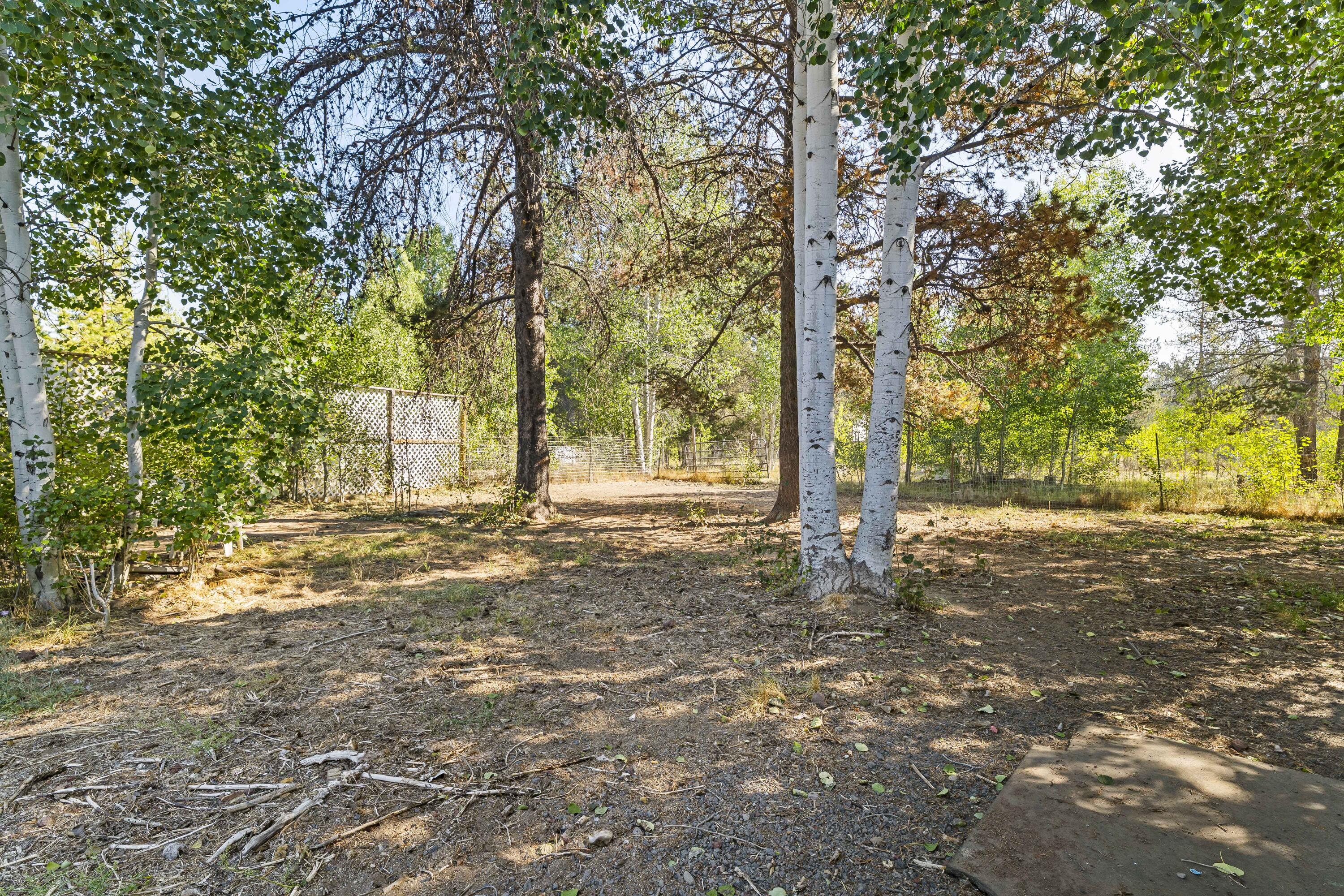 16046 Dyke Road