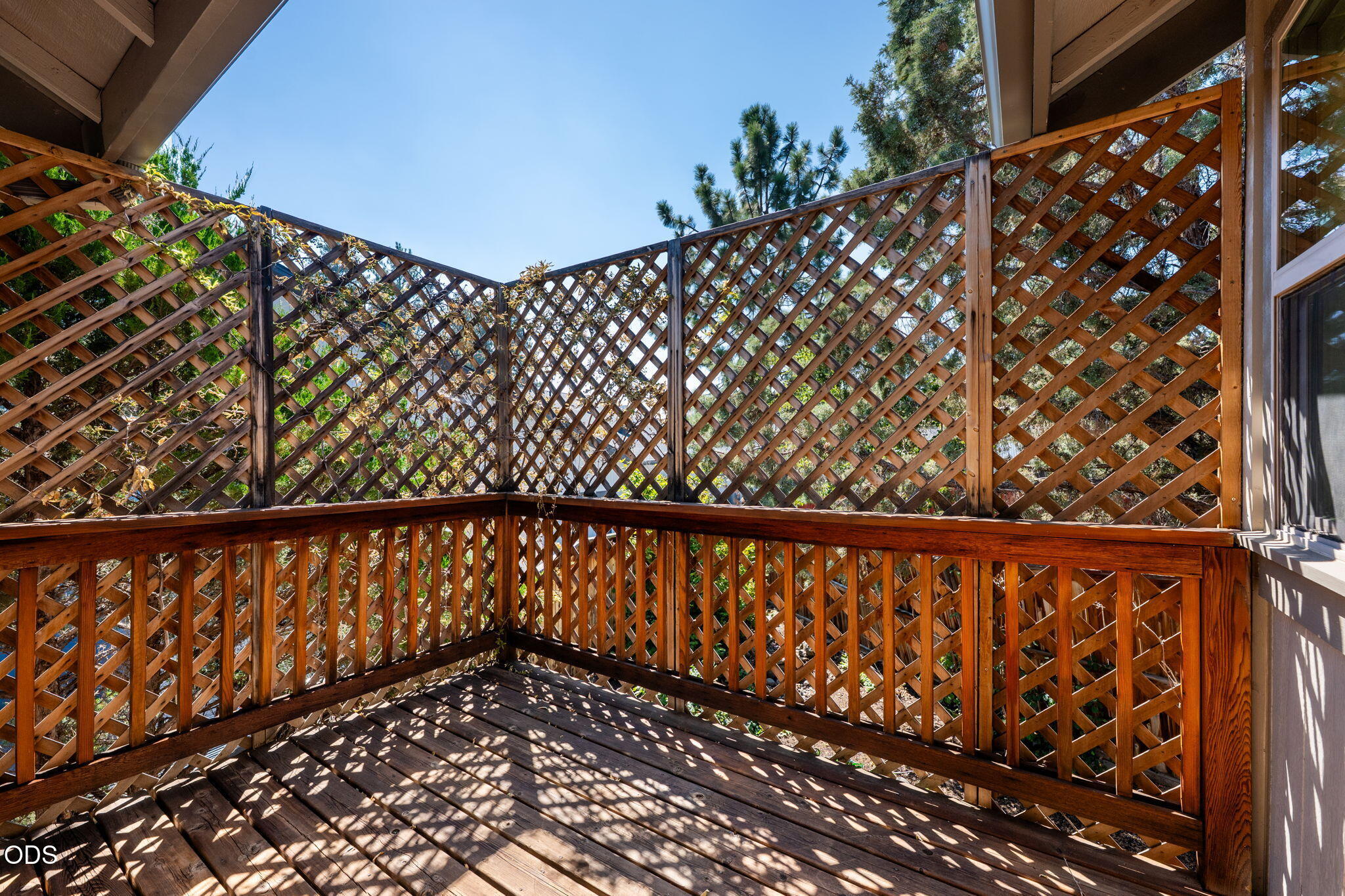 61212 Brittle Bush Street