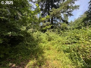 33145 SE COMPTON RD SE