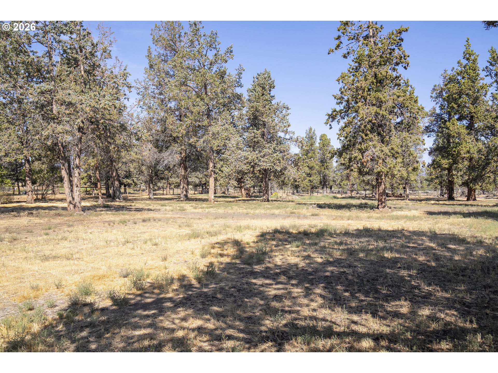 17500 FORKED HORN DR