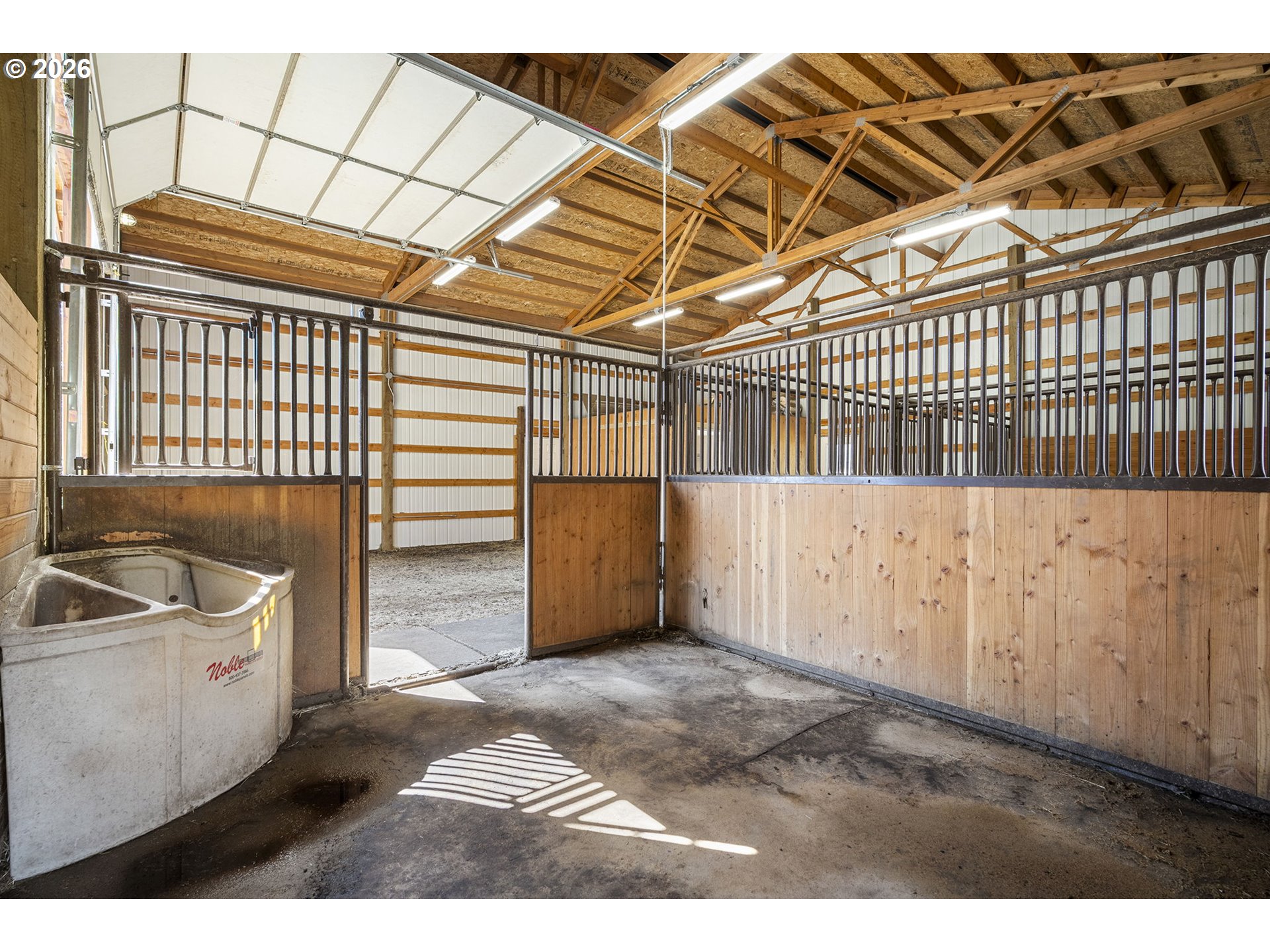 17500 FORKED HORN DR