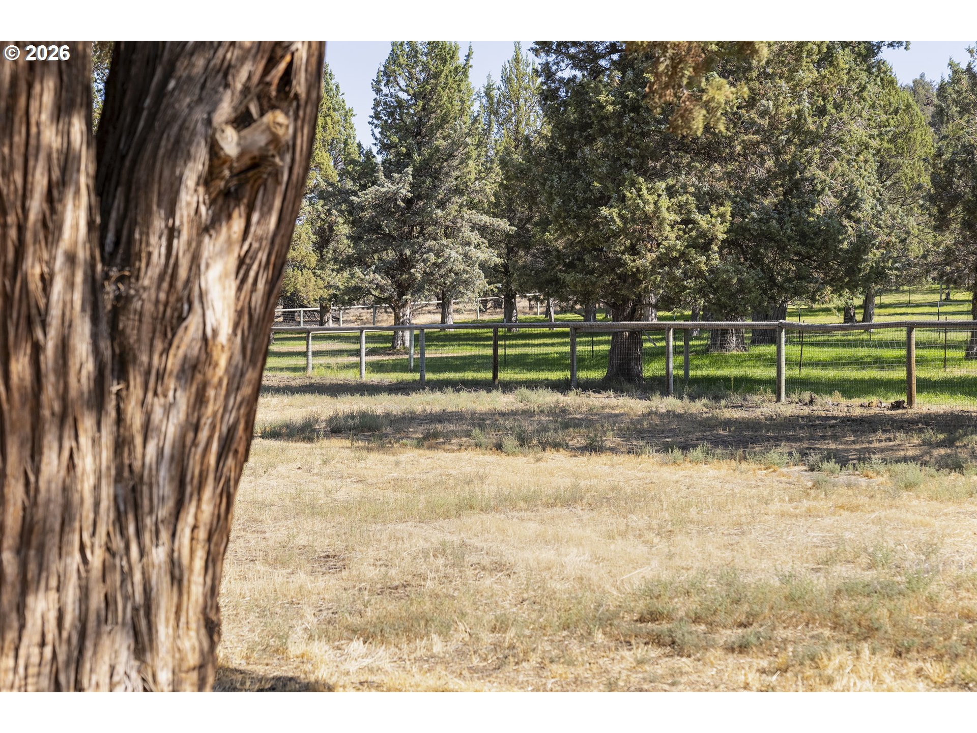 17500 FORKED HORN DR