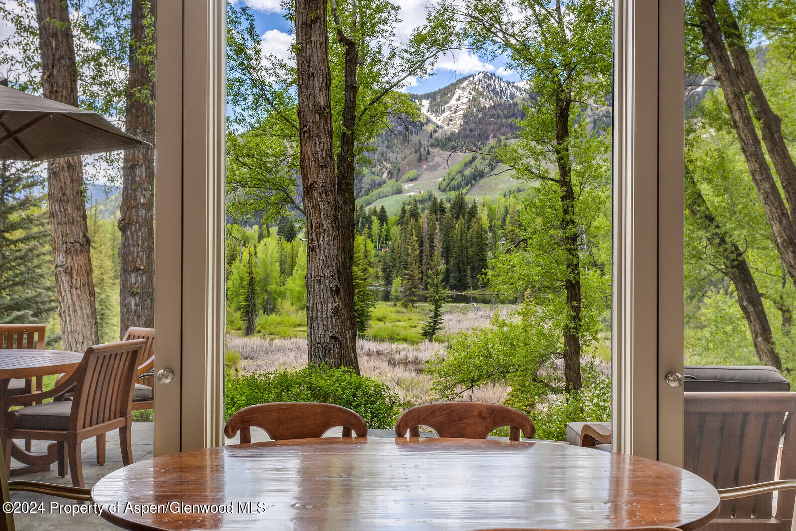 844 ROARING FORK Road