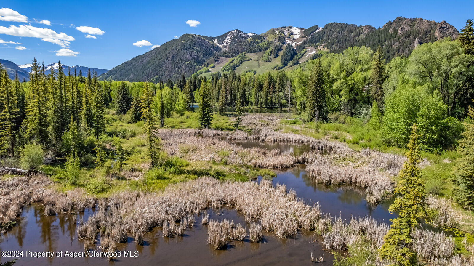 844 ROARING FORK Road