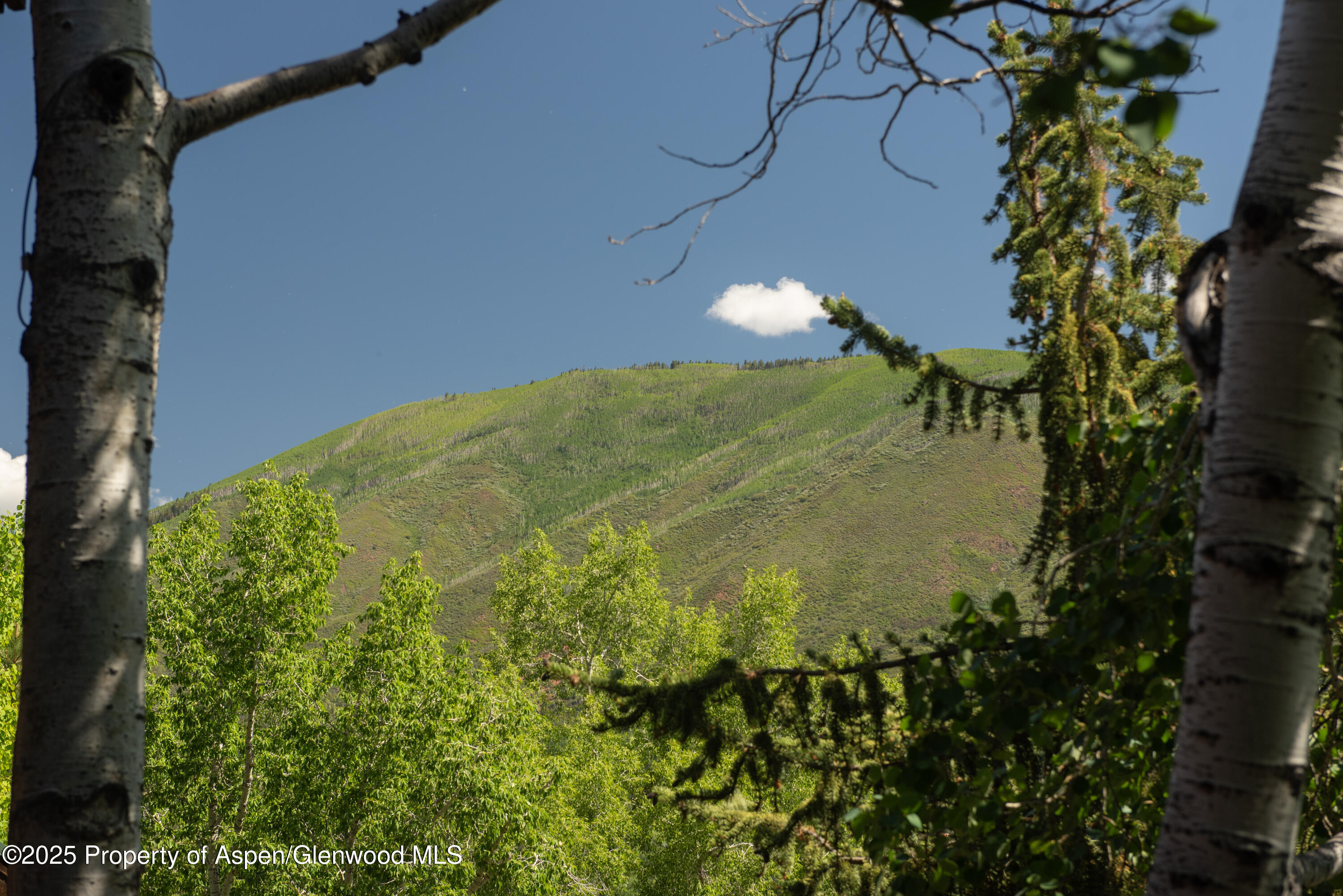 3801 Mclain Flats Road