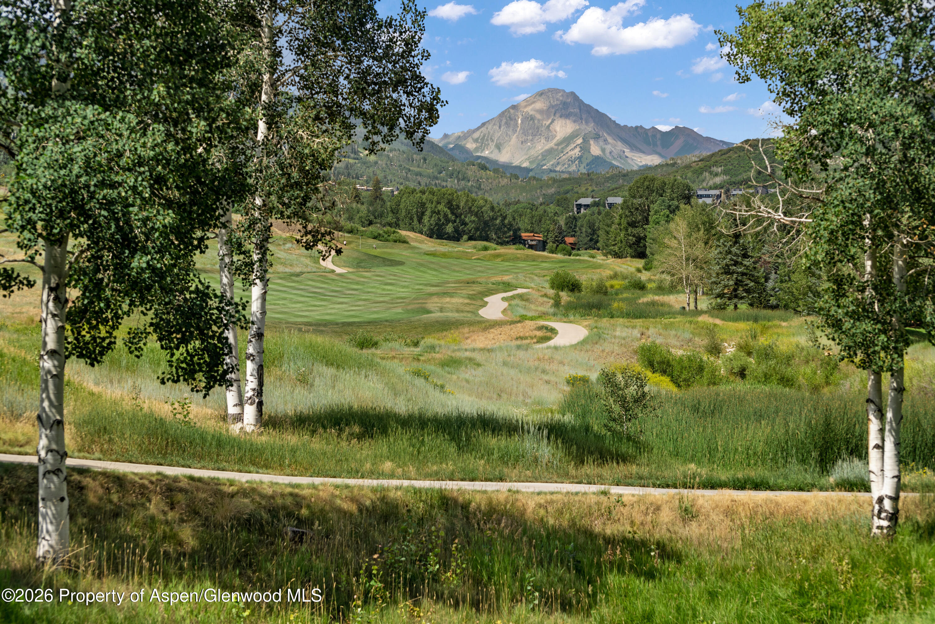 294 Snowmass Club Circle 1209
