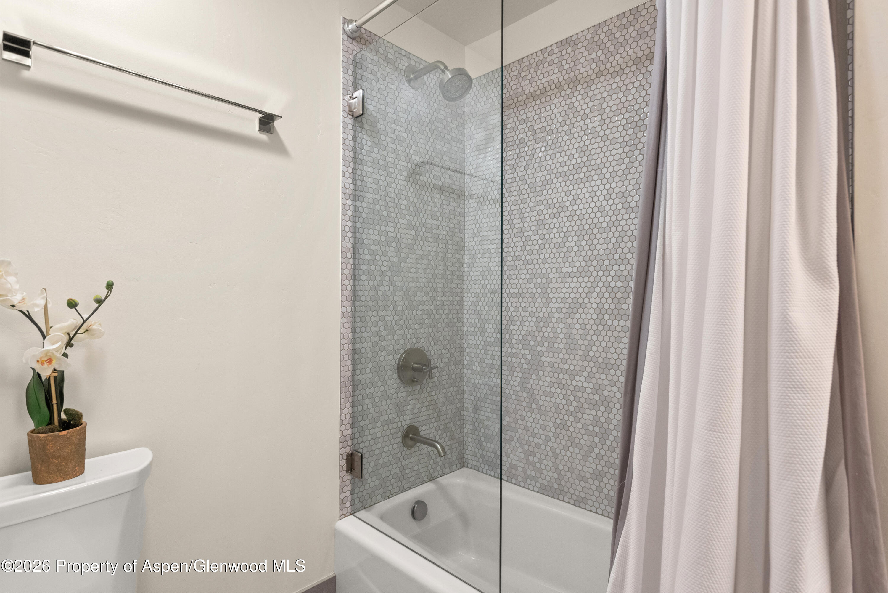 294 Snowmass Club Circle 1209