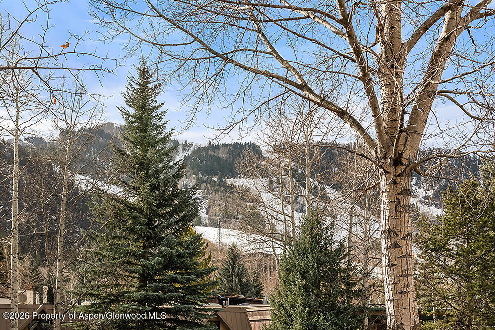 830 E Durant Avenue 8