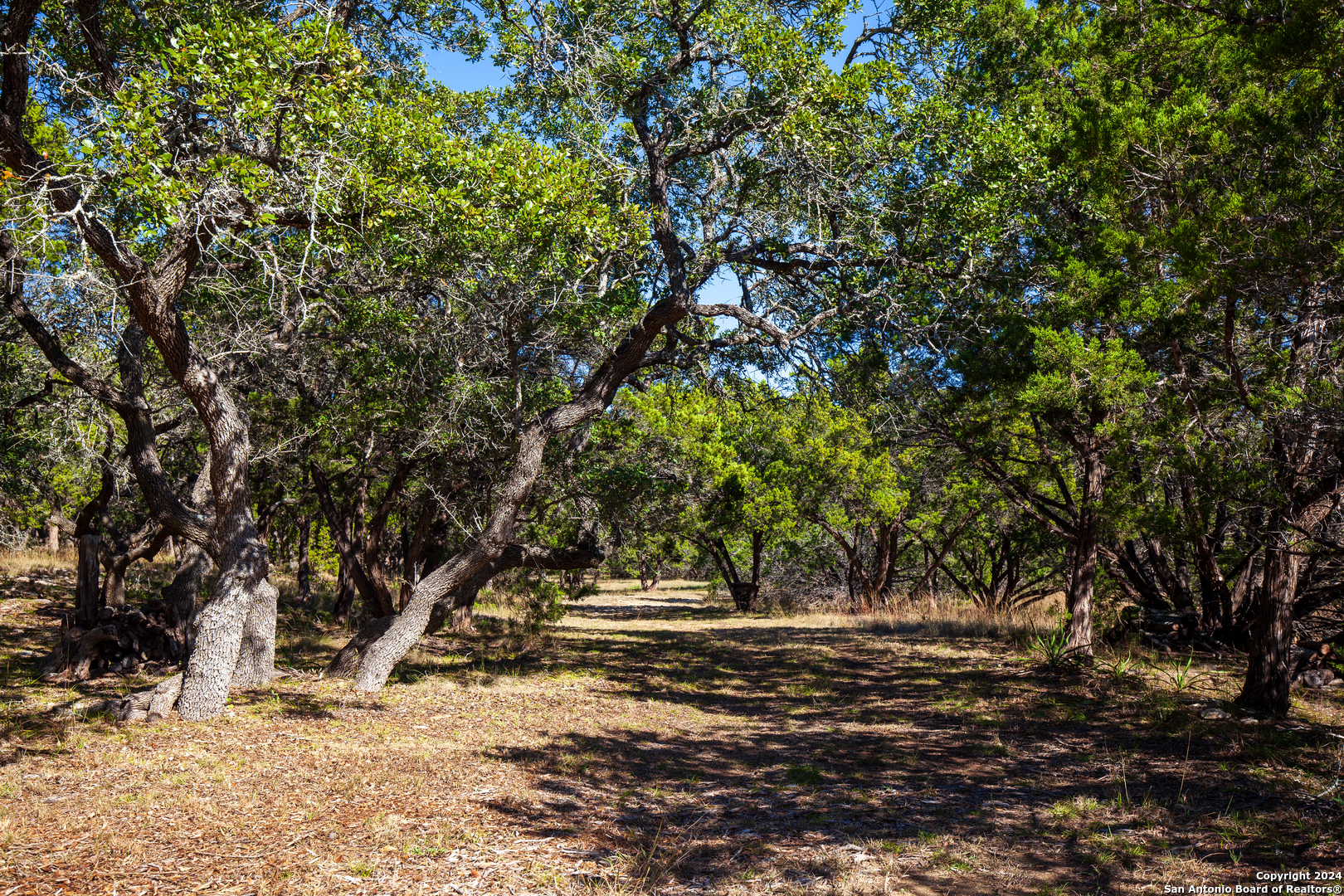26662 FAWN MTN