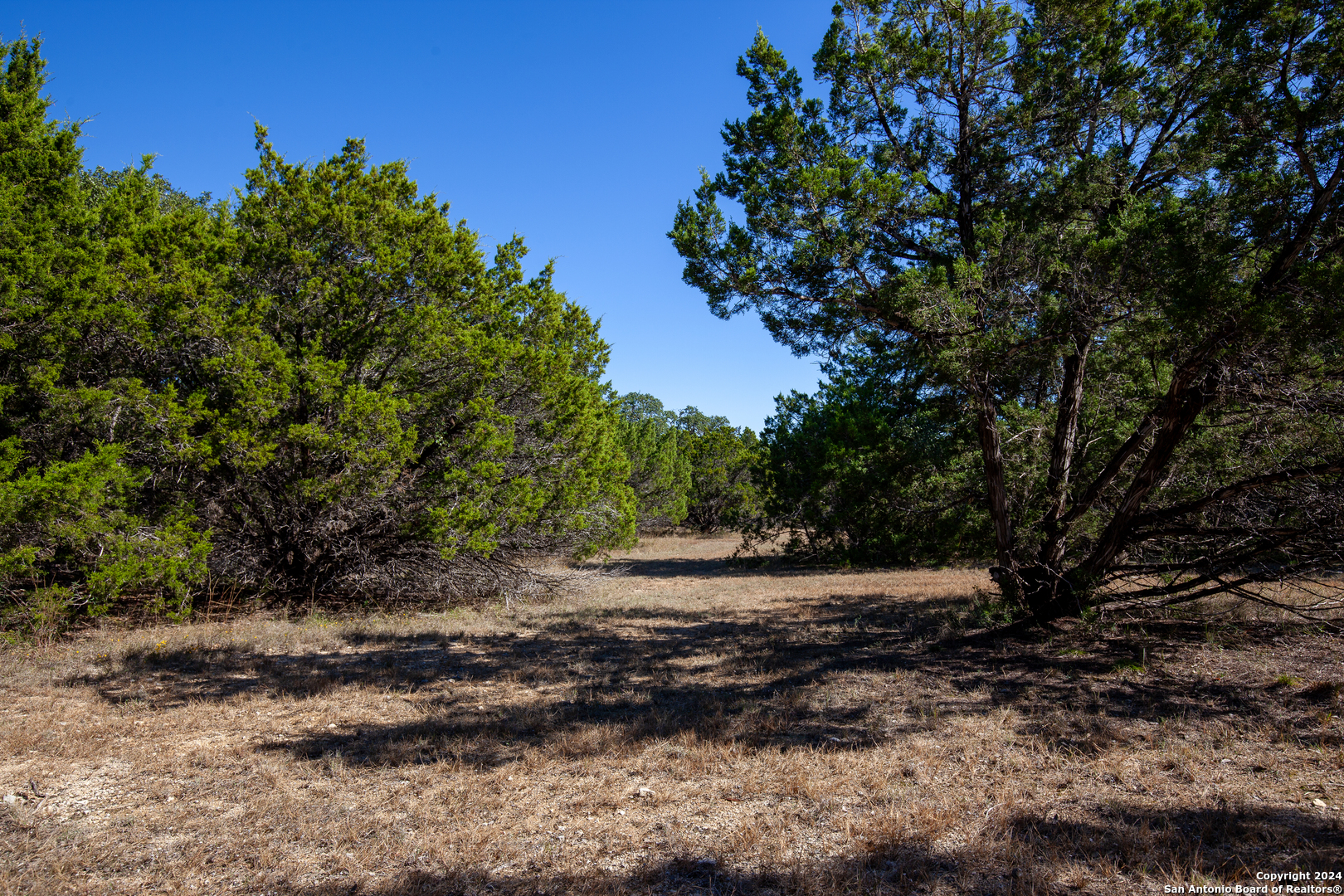 26662 FAWN MTN