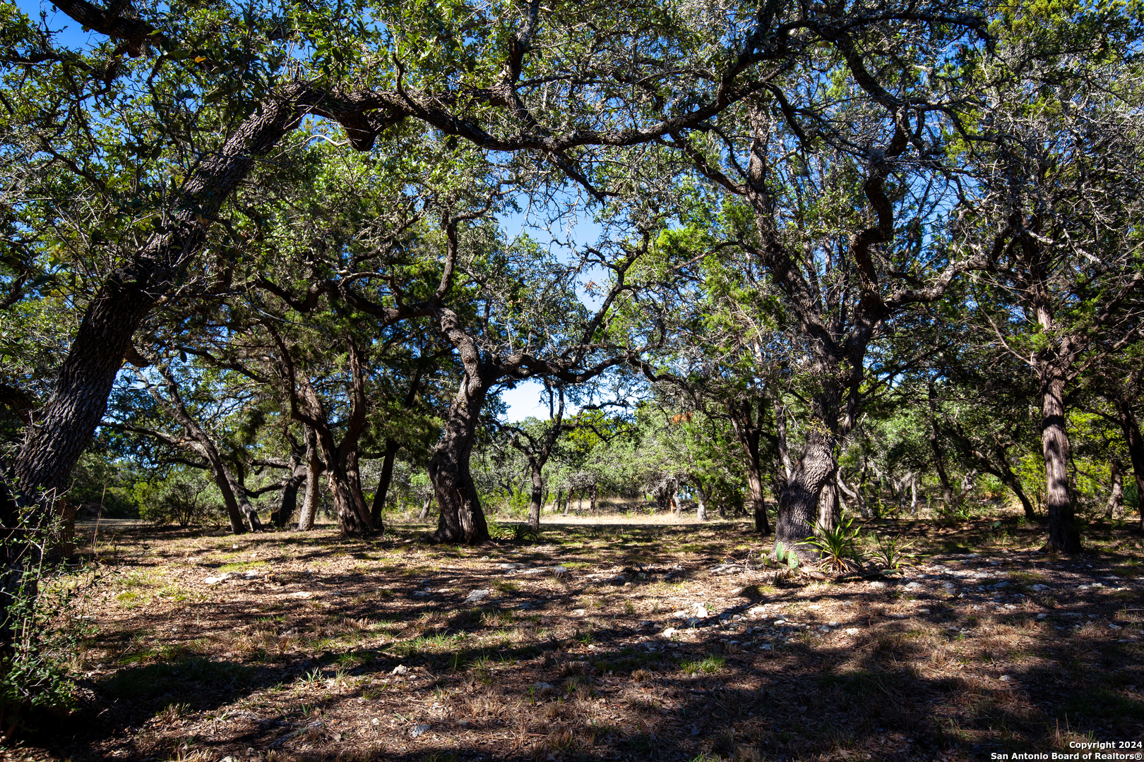 26662 FAWN MTN