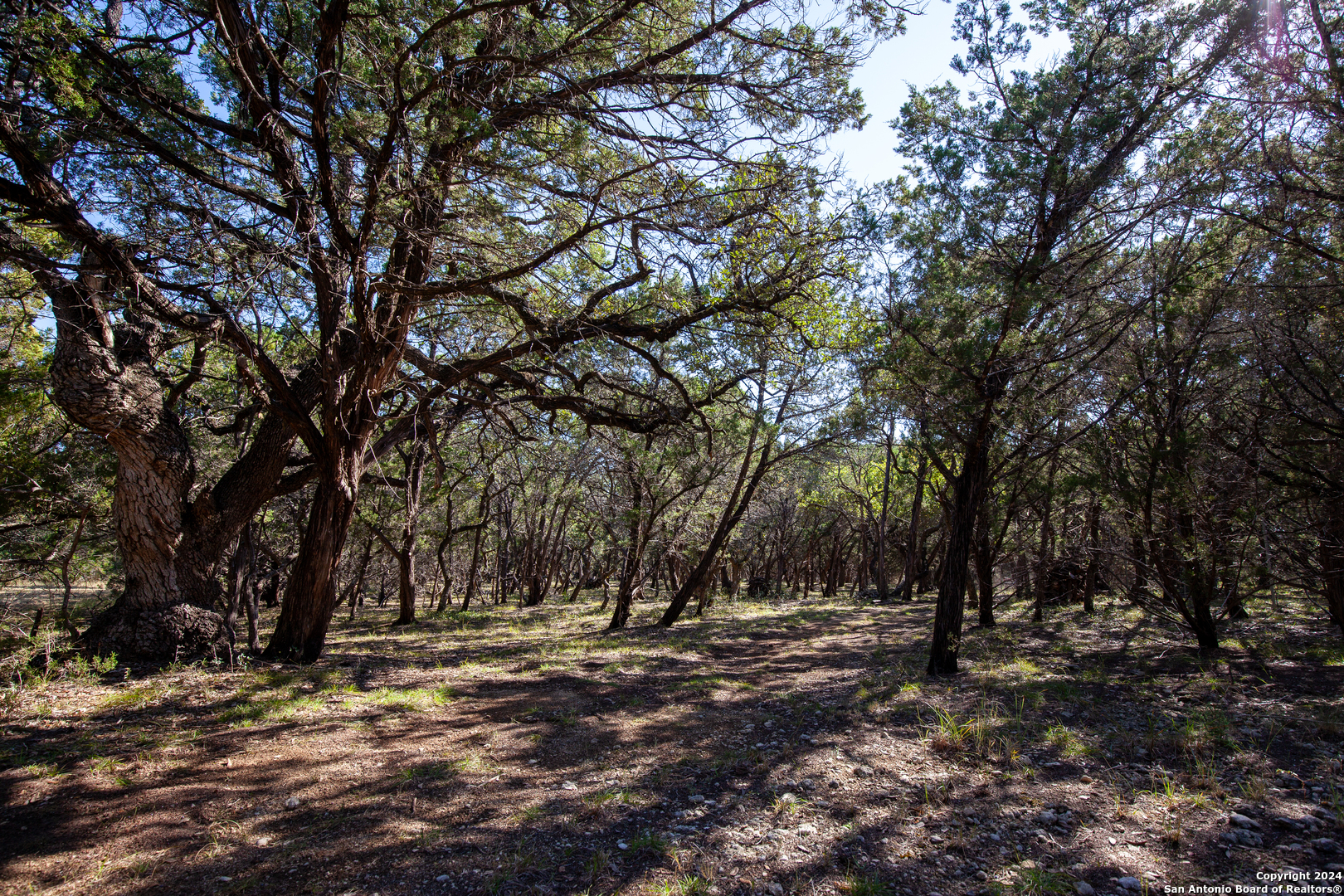 26662 FAWN MTN