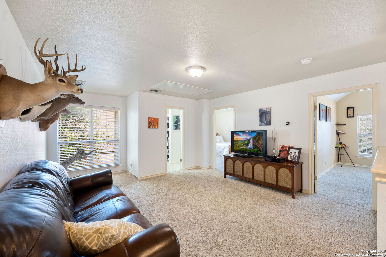 55 SILVERHORN DR
