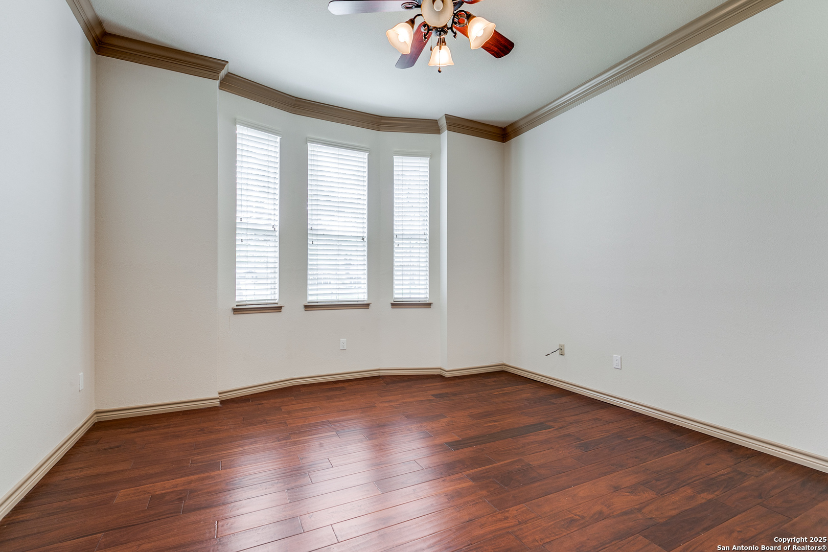 6841 Willow Oak