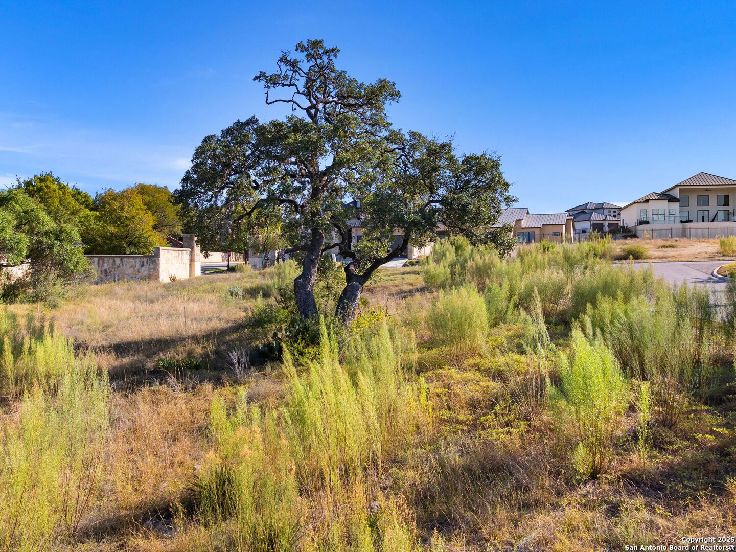 11 DOMINION MEADOWS