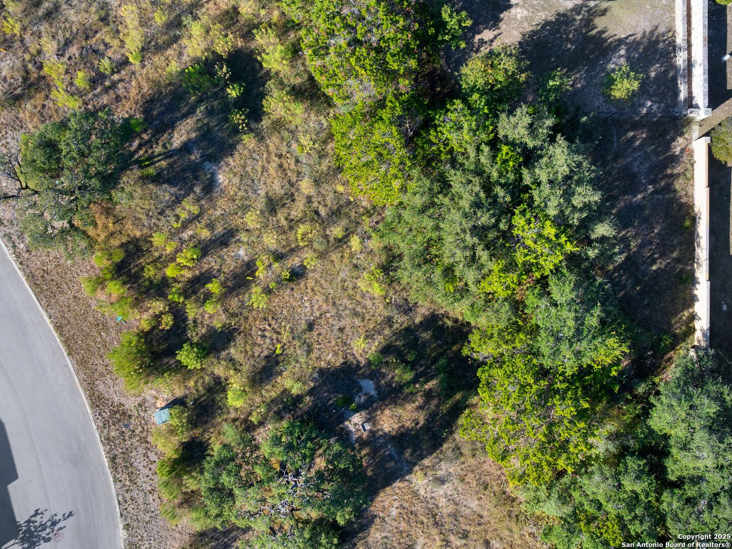 11 DOMINION MEADOWS