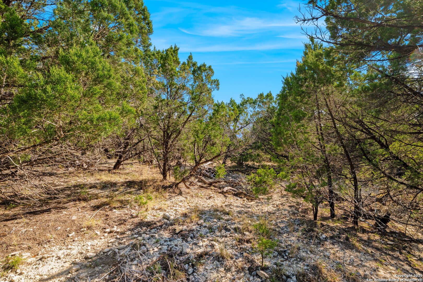 23625 Up Mountain Trail
