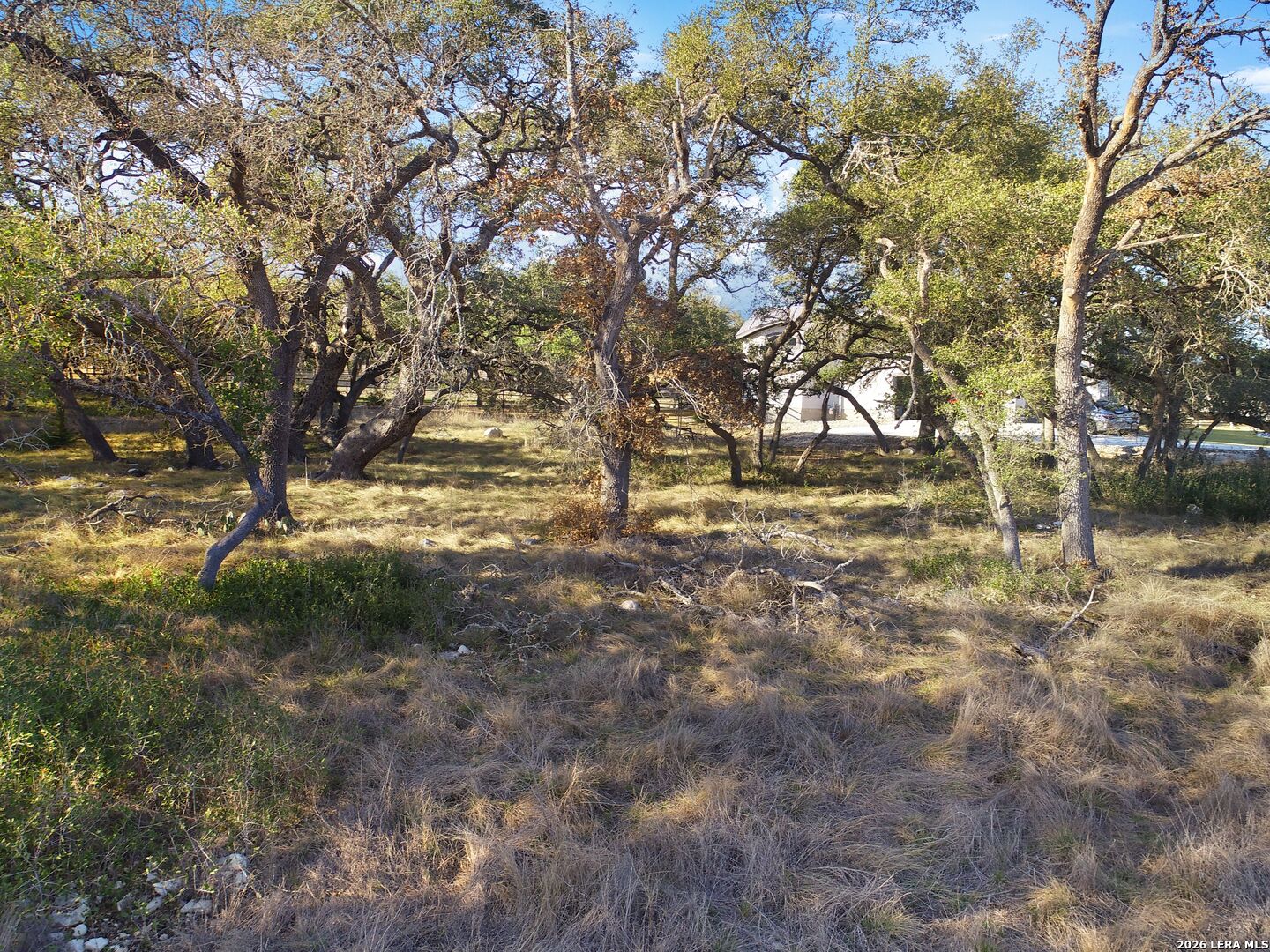 942 Maximino Ridge