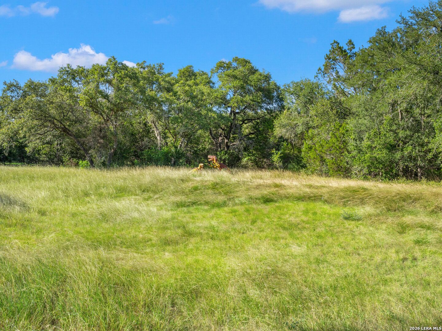 3564 Mountain Loop