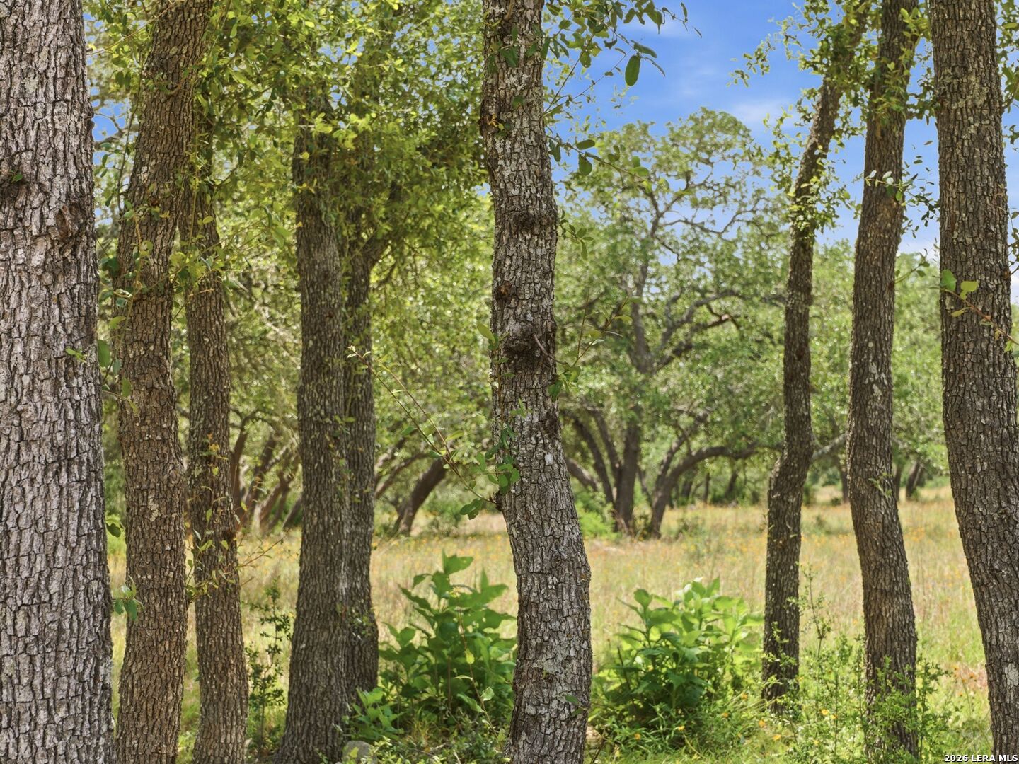 820 FM 3351 N
