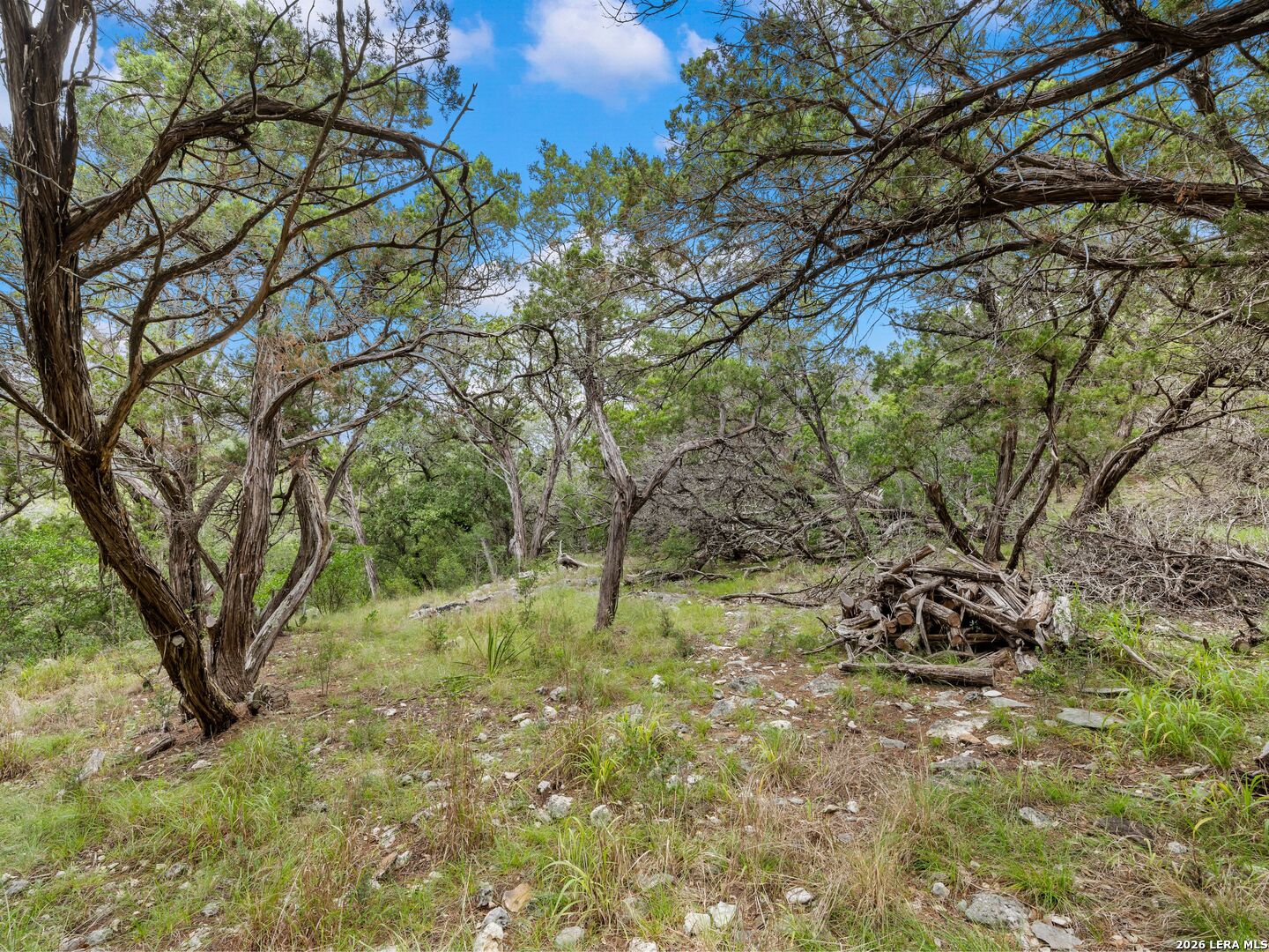 275 COUNTY ROAD 260 E