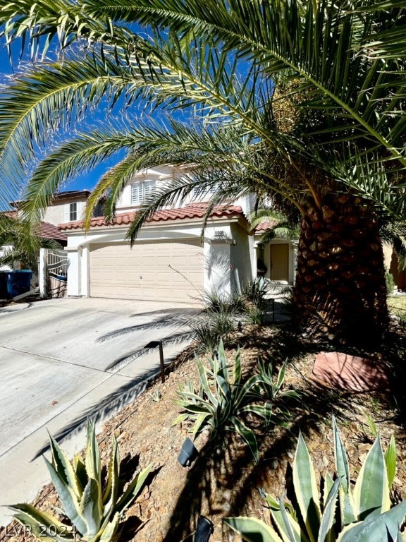 10008 Hawthorne Grove Street