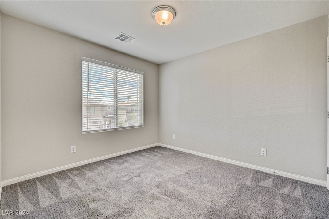 9238 Bluemist Falls Street