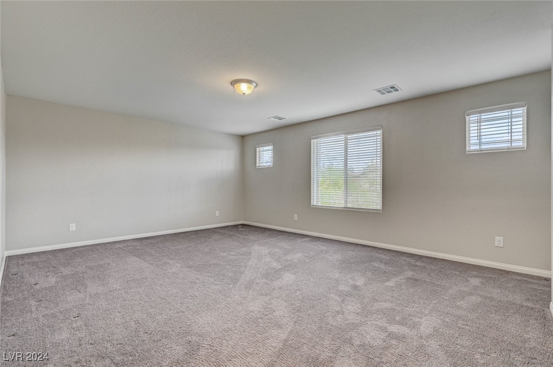 9238 Bluemist Falls Street