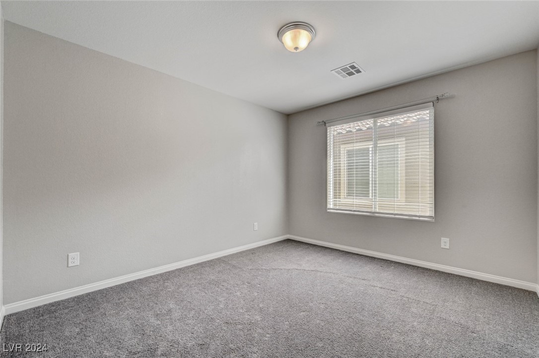 9238 Bluemist Falls Street