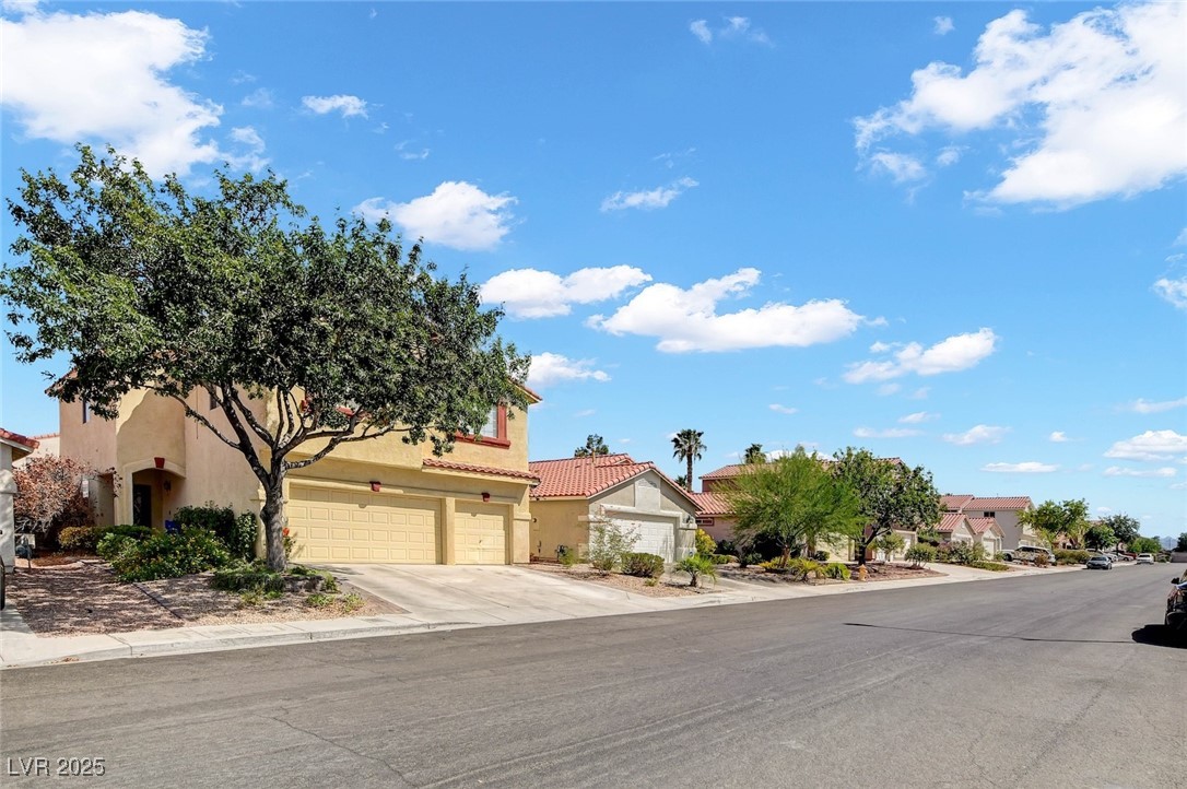 9338 Coral Berry Street