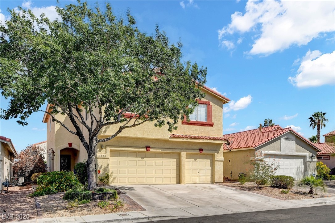 9338 Coral Berry Street