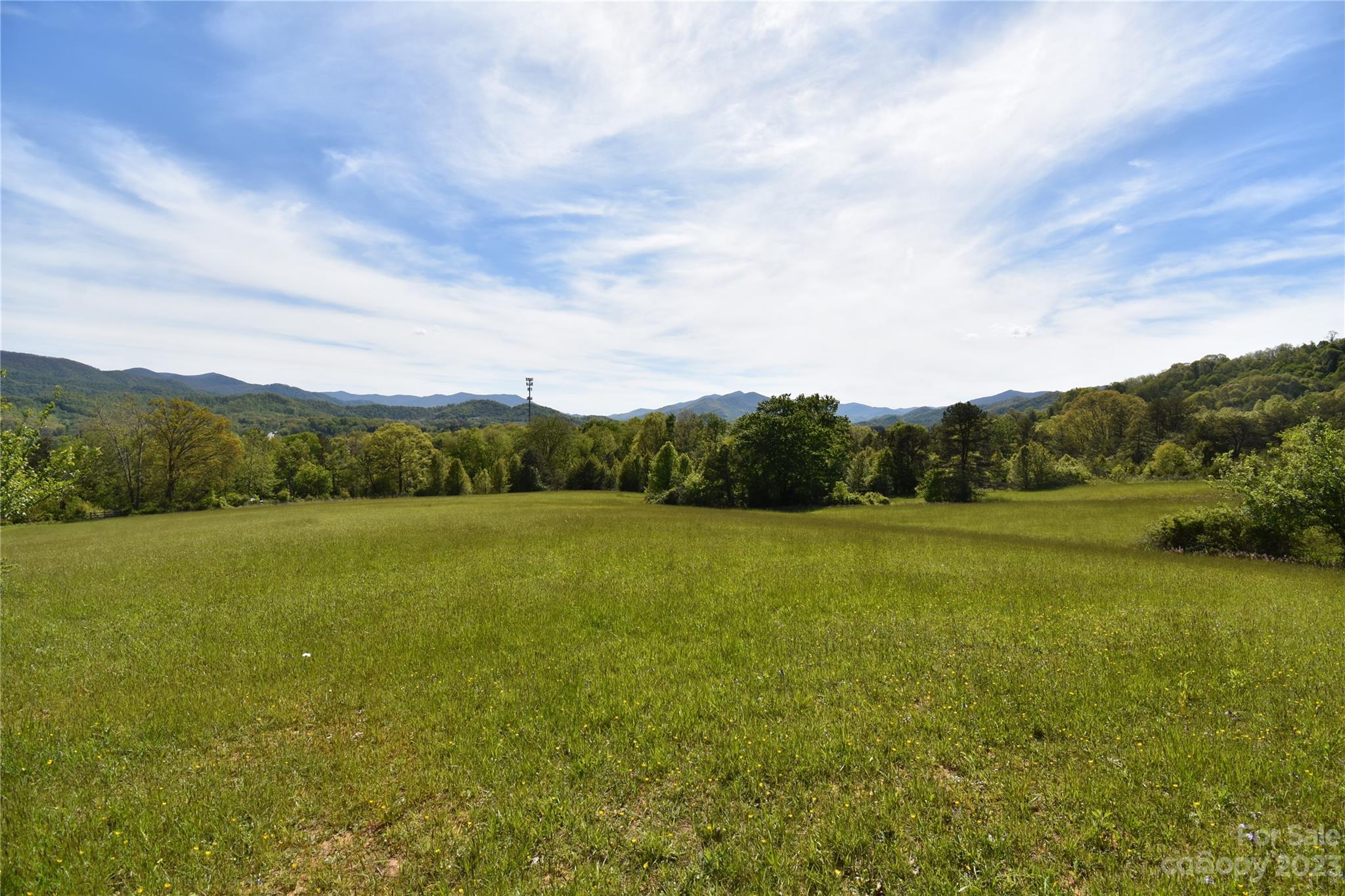 Open grassy land with wooded mountain ridges in the distance.