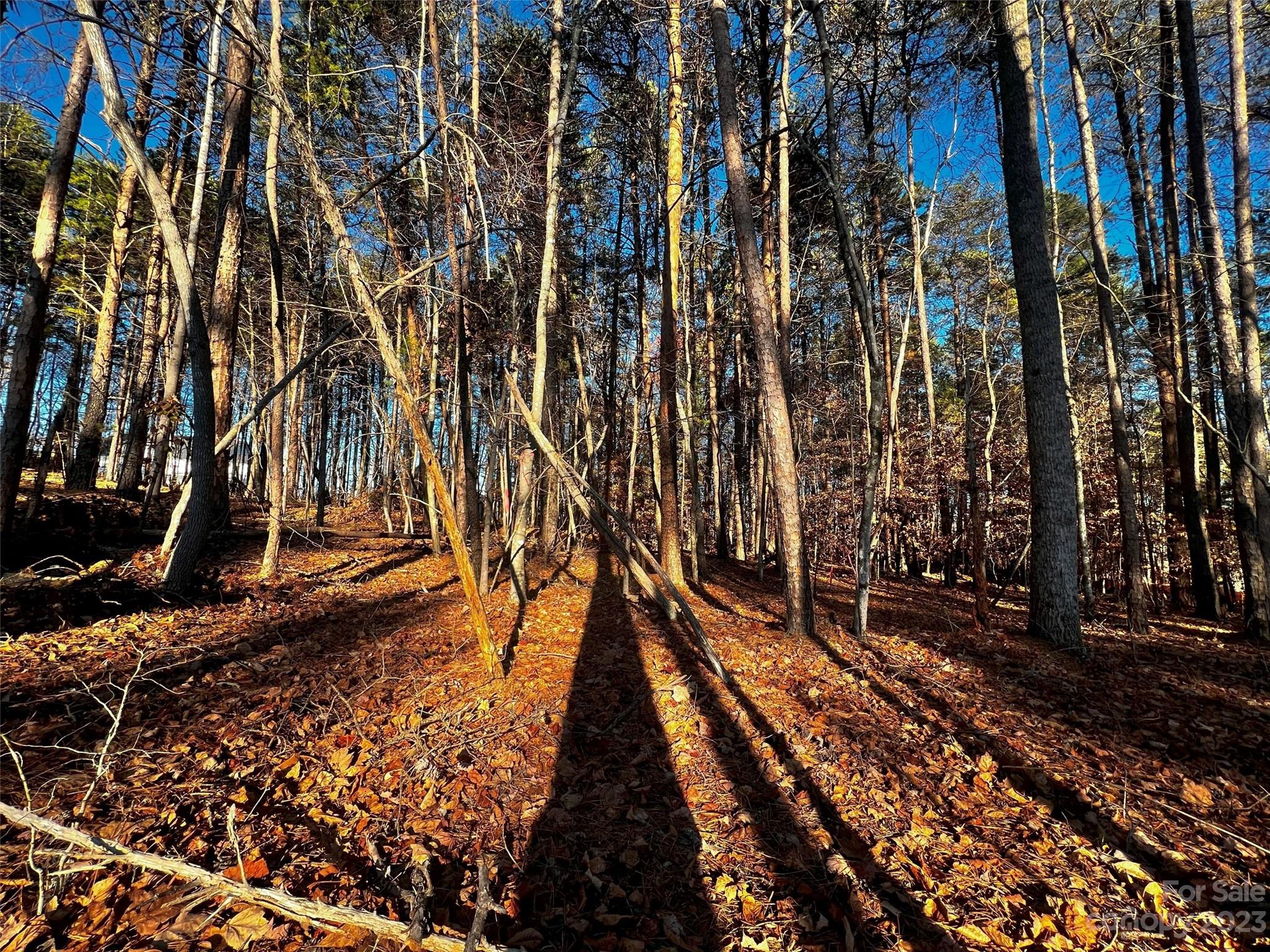 129 Hunt Camp Trail Unit: 15