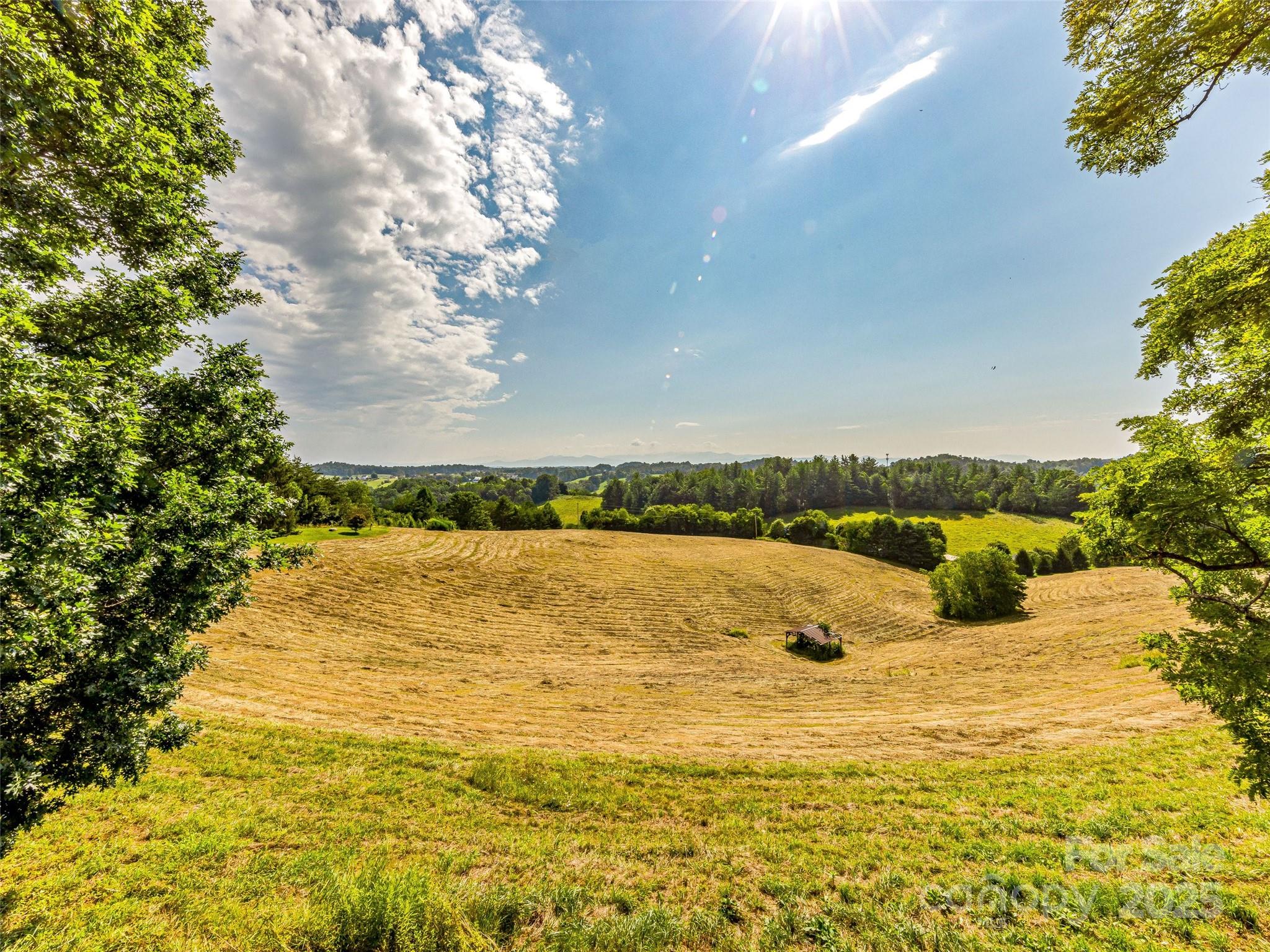 Mown hay field framed by trees, with wooded hills beneath a bright, partly cloudy sky.