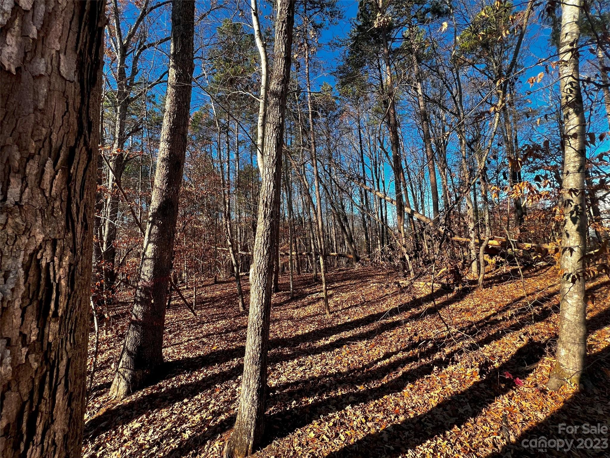 138 Copper Pine Lane Unit: 2