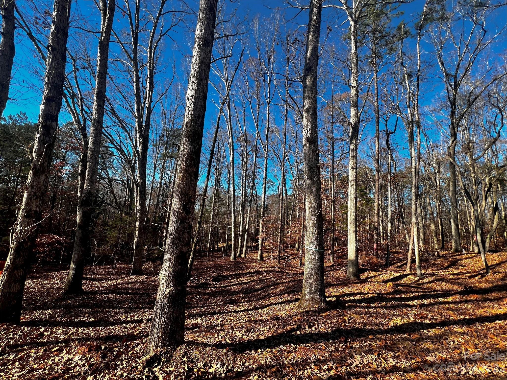150 Copper Pine Lane Unit: 4