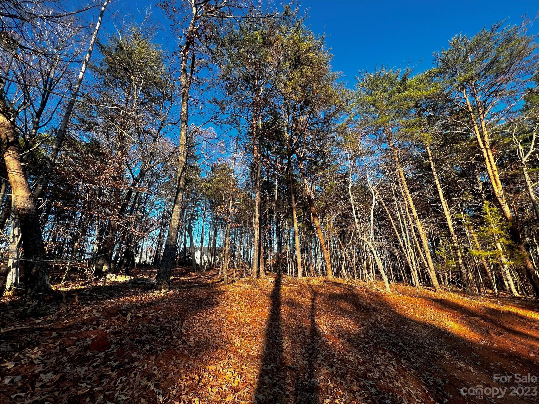 127 Hunt Camp Trail Unit: 16