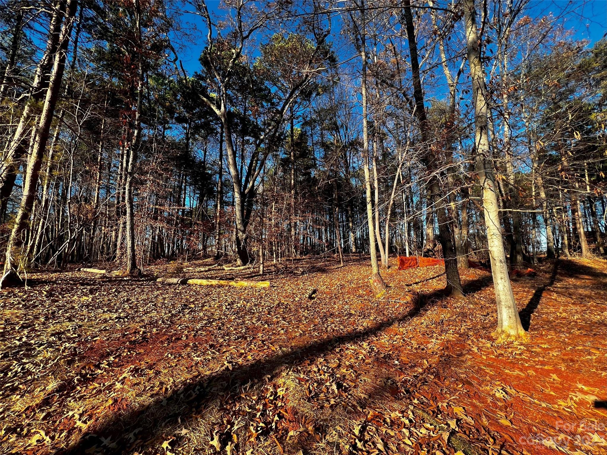 123 Hunt Camp Trail Unit: 17