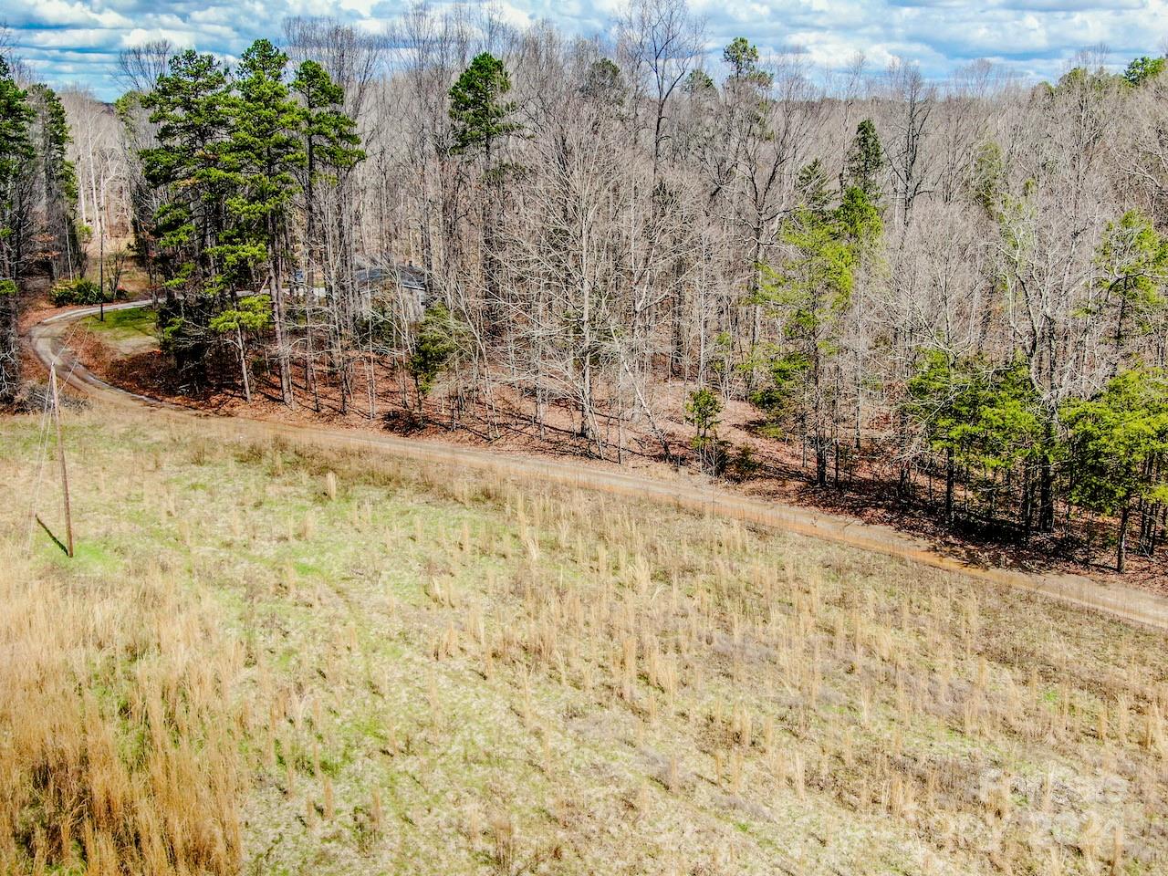 Open grassy land borders a curving dirt road and leafless woodland.