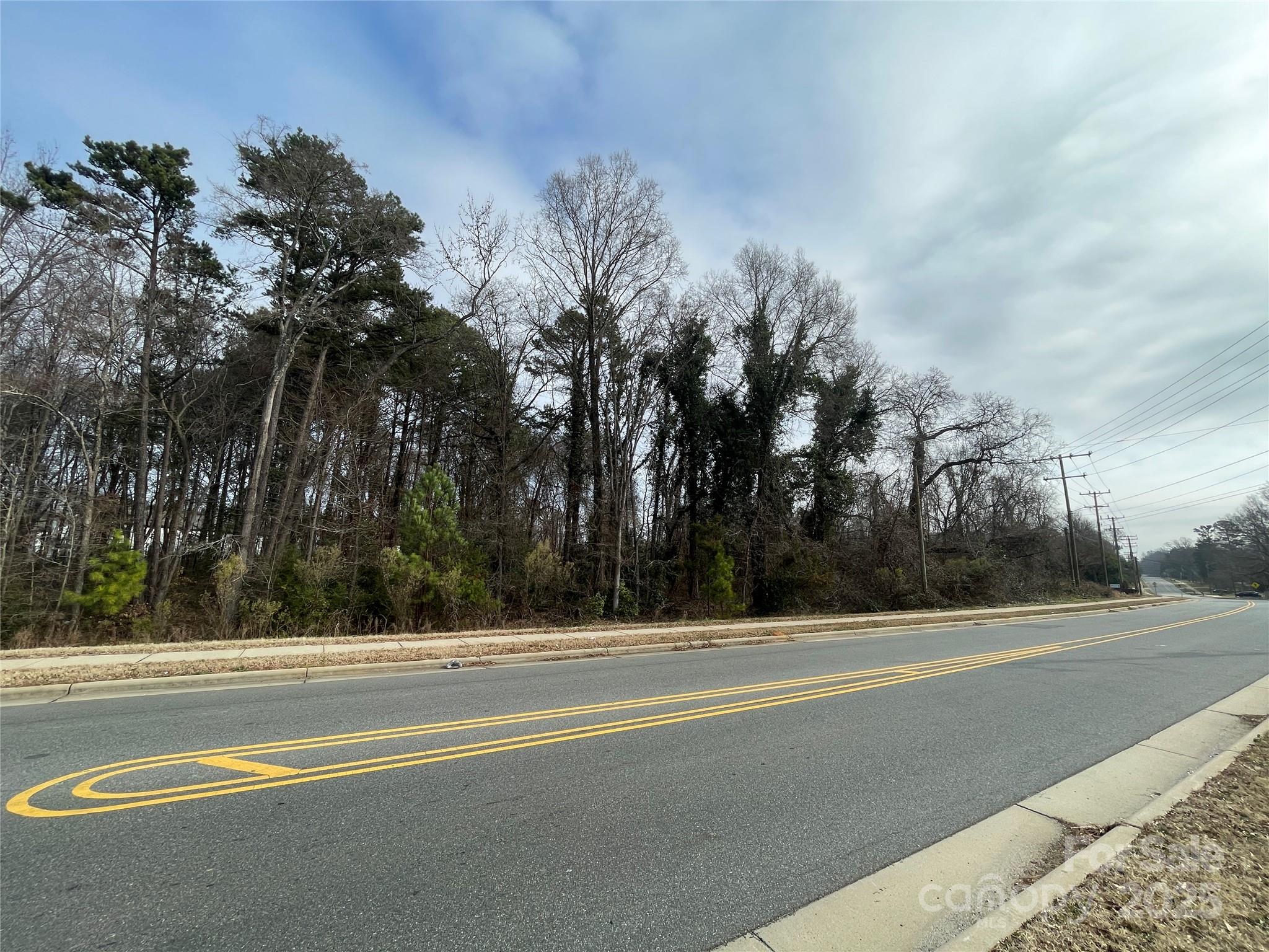 Road curving past dense leafless woodland, with a sidewalk and utility poles.