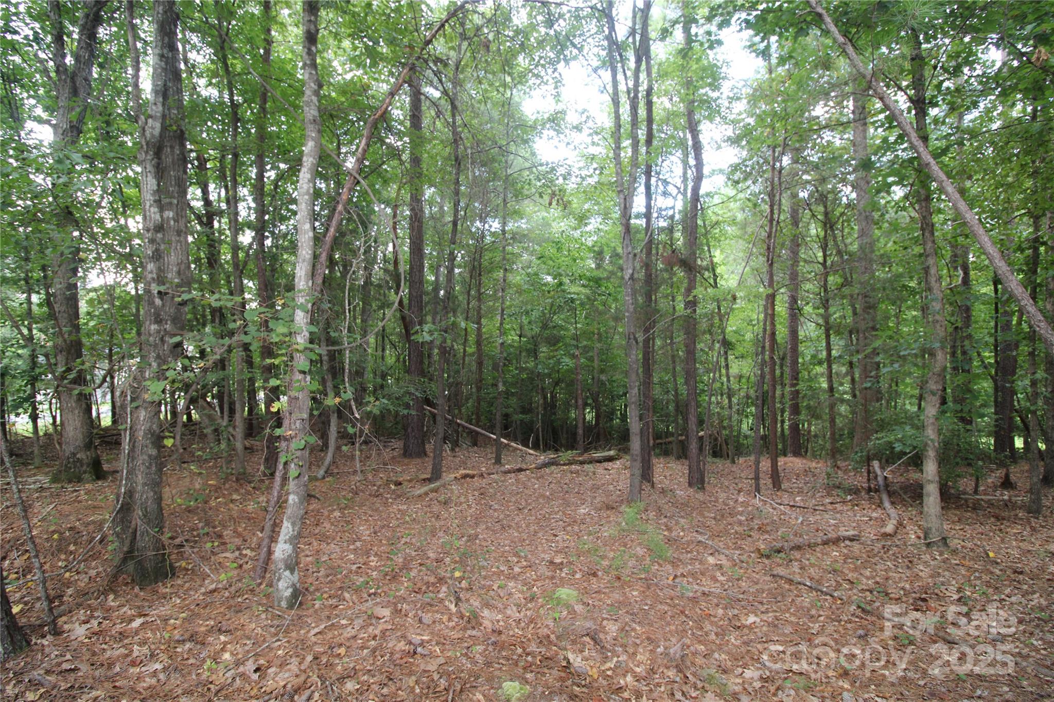 Lot 1 Lake Wylie Drive
