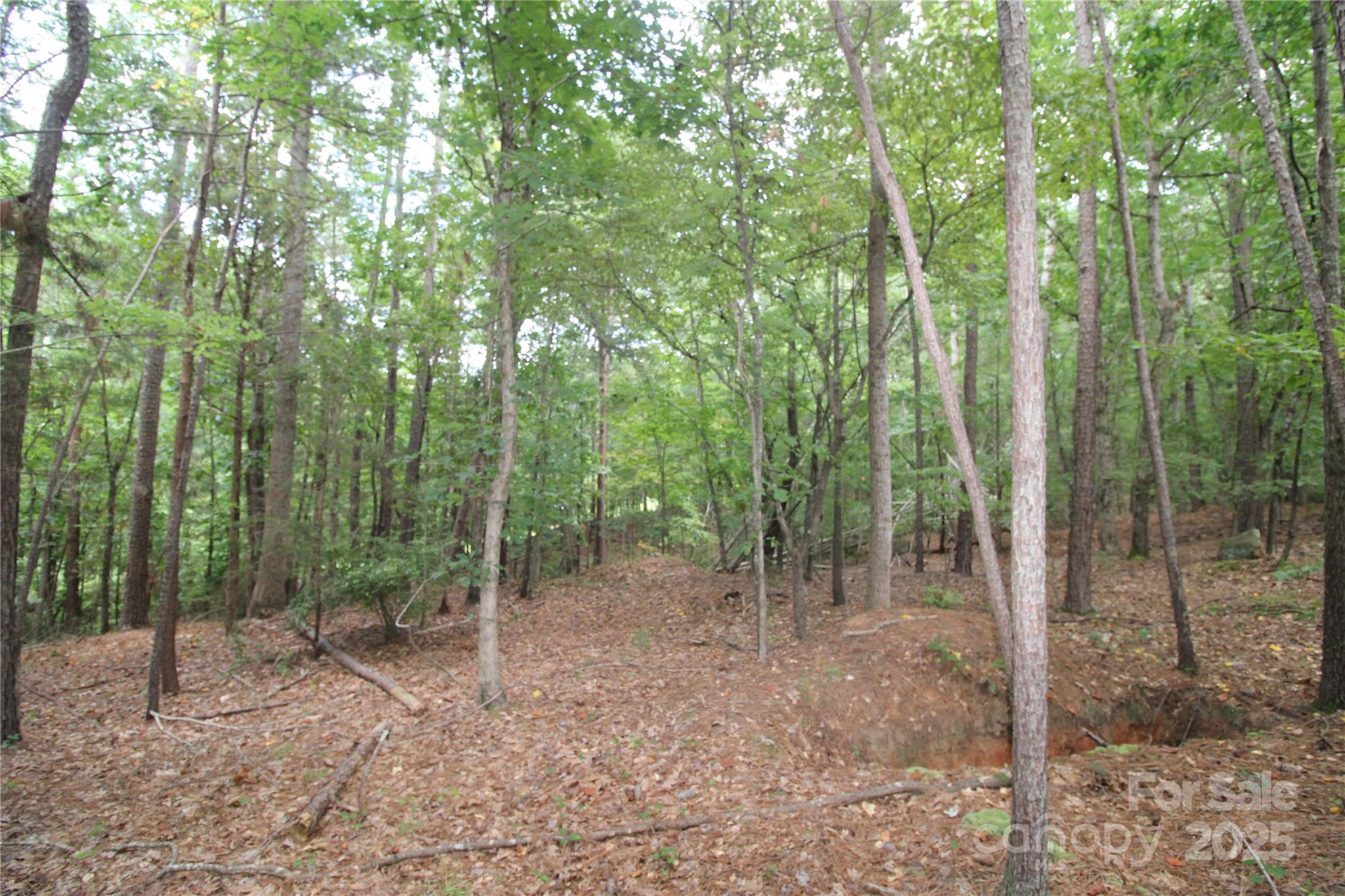 Lot 2 Lake Wylie Drive